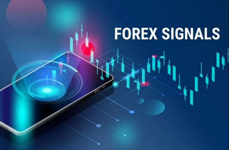 Forex Signal là gì?