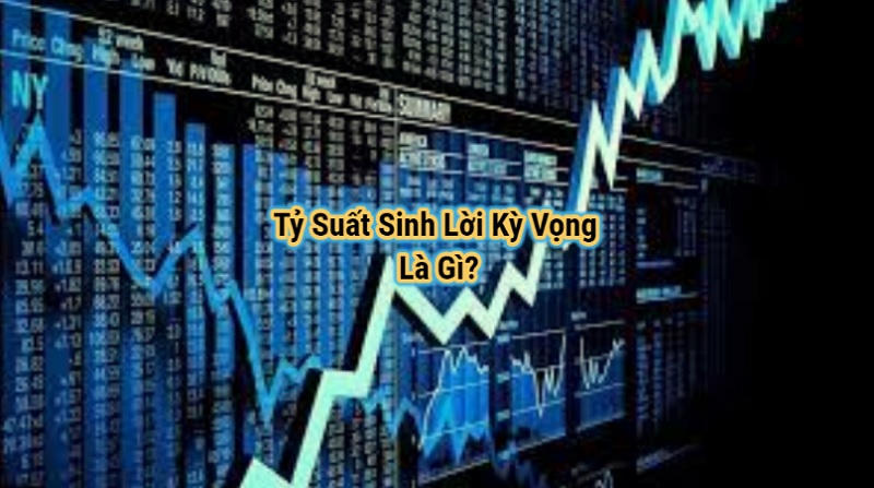 Kiến thức về tỷ suất sinh lời kỳ vọng của danh mục đầu tư