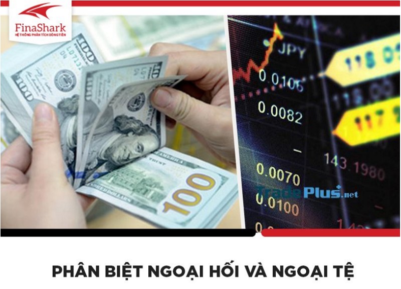 Ngoại hối và ngoại tệ cần phân biệt như thế nào cho đúng?