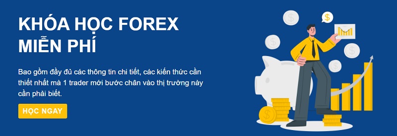 Tại sao nên đăng ký khóa học Forex miễn phí của Finashark?