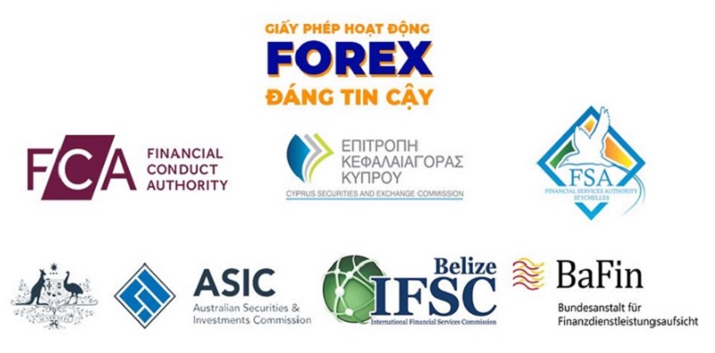 Cách chọn sàn Forex của bạn theo các danh mục khác nhau