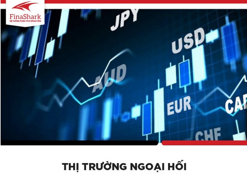 Những kiến thức về thị trường ngoại hối nhà đầu tư không nên bỏ qua