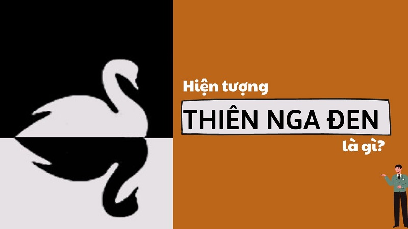 Hiện tượng “Thiên Nga đen” là gì? Lời khuyên cho các nhà đầu tư khi gặp hiện tượng này