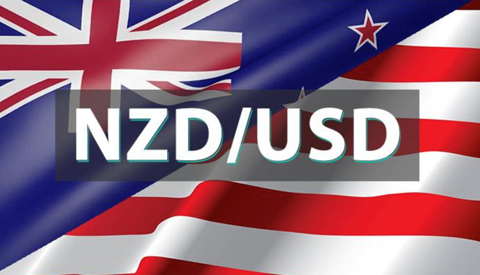 Cặp tiền NZD/ USD và những điều quan trọng cần biết