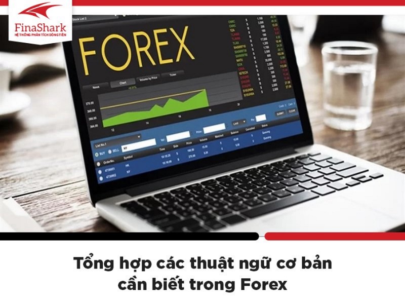 Tổng hợp các thuật ngữ cơ bản cần biết trong Forex