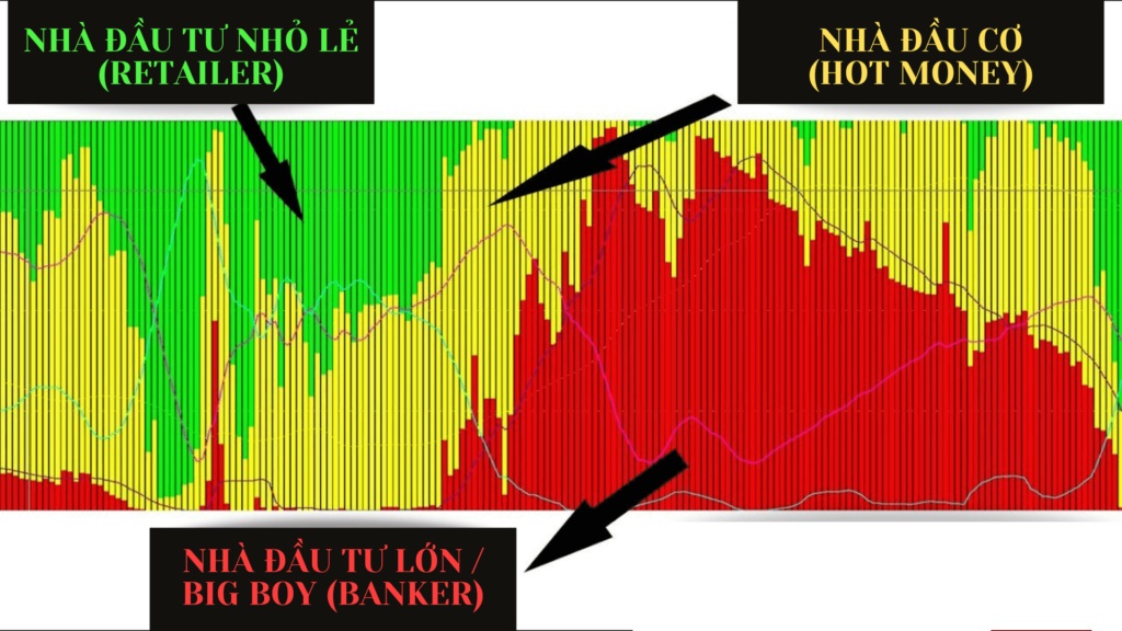 Chỉ báo dòng tiền tạo lập (MCDX) là gì?