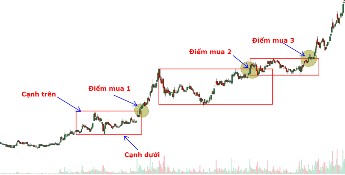 điểm mua với darvas box