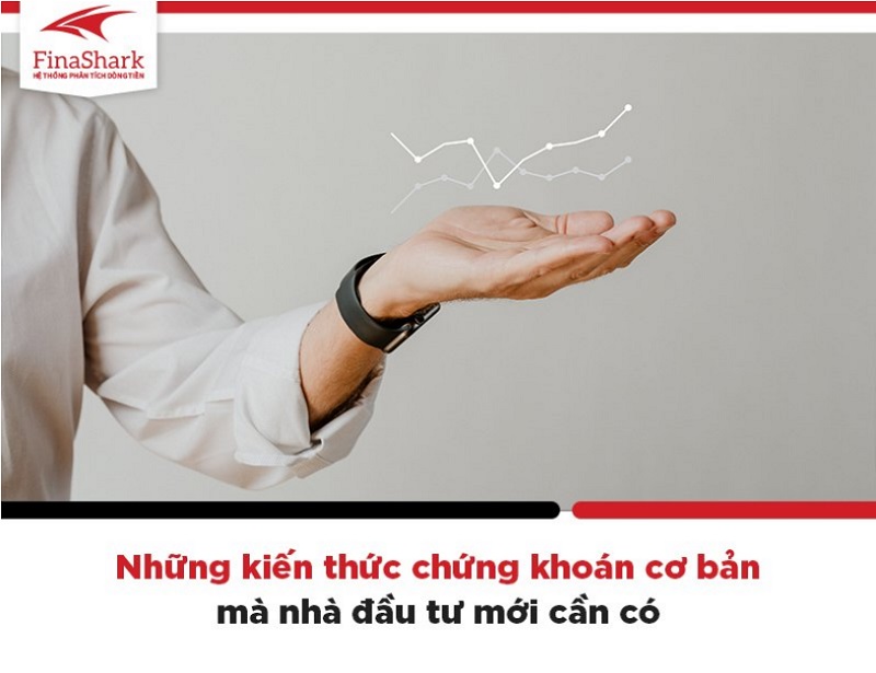 Những kiến thức chứng khoán cơ bản mà nhà đầu tư mới cần có