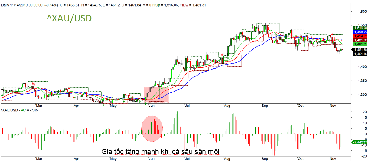 Chỉ báo gia tốc AC