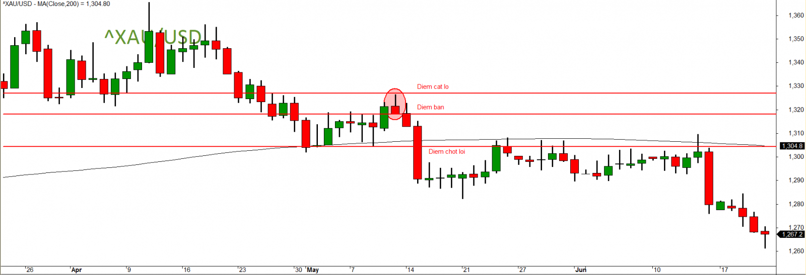 pin bar kết hợp fibonacci