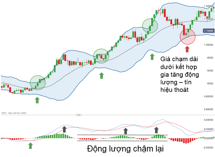 sử dụng bollinger bands và MACD để giao dịch theo xu hướng