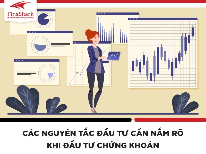 Các nguyên tắc đầu tư cần nắm rõ khi đầu tư chứng khoán