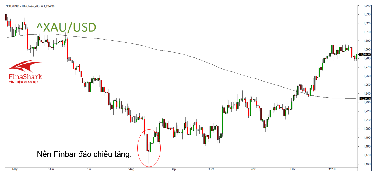 ví dụ giao dịch với nến pin bar