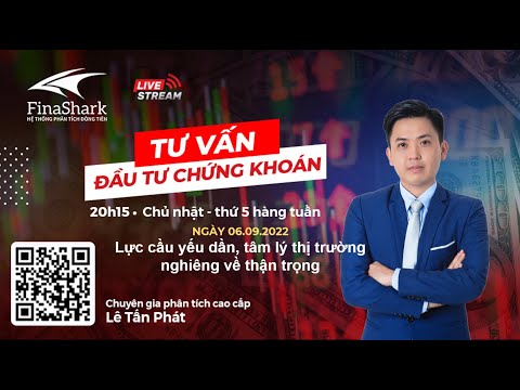 Lực cầu yếu dần, tâm lý thị trường nghiêng về thận trọng | Chiến lược cho phiên 7.9.2022