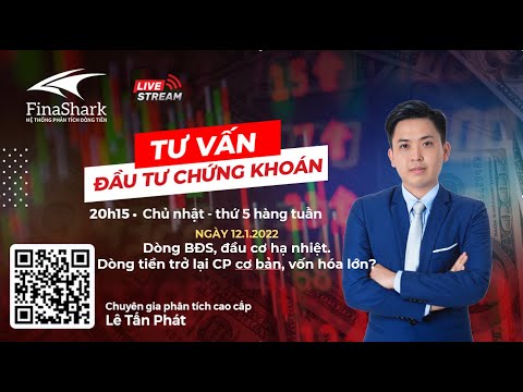 Dòng BĐS, đầu cơ hạ nhiệt. Dòng tiền trở lại cp cơ bản, vốn hóa lớn? | Chiến lược cho phiên 12.1.2022