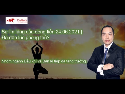 Sự im lặng của dòng tiền 24.06.2021 | Đã đến lúc phòng thủ cho danh mục?