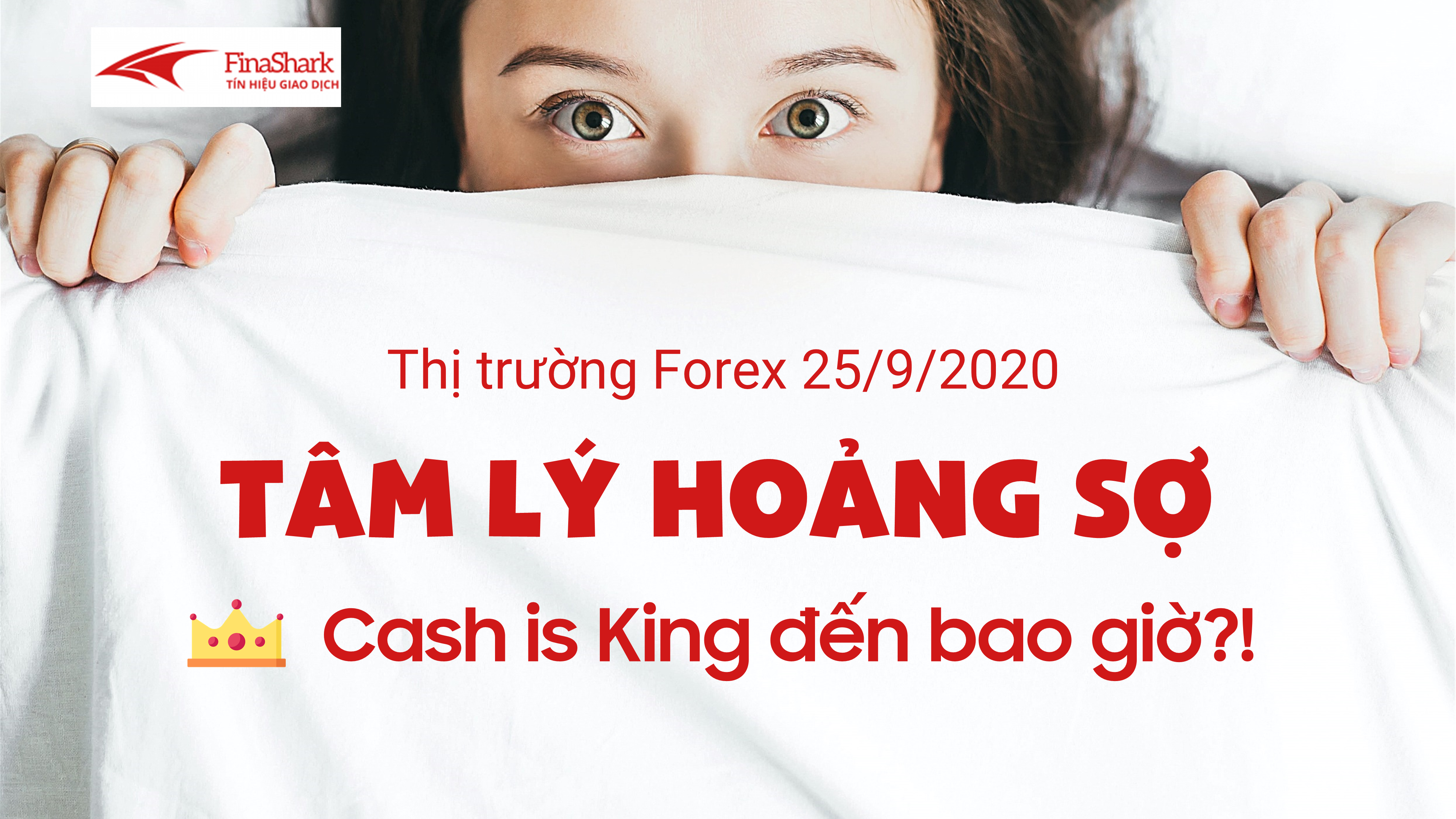 Tâm lý thị trường hoảng loạn - Cash is King đến bao giờ?!