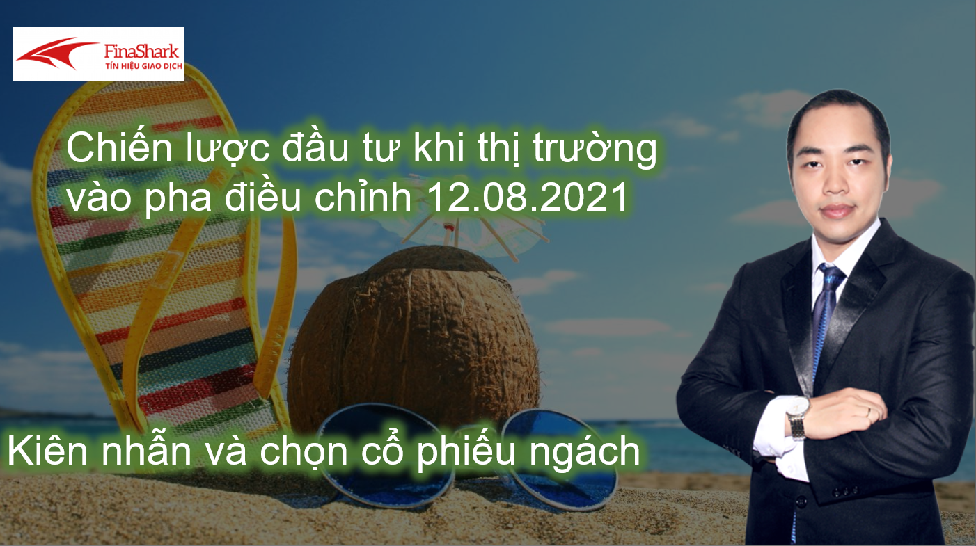 Chiến lược đầu tư khi thị trường vào pha điều chỉnh 12.08.2021