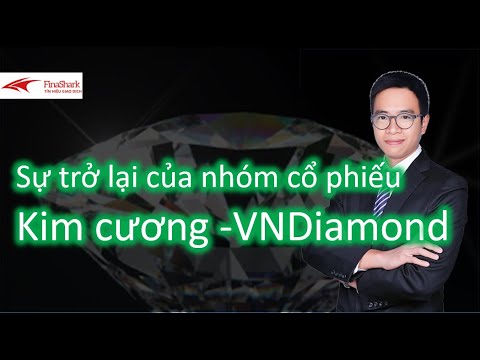 Sự trở lại của nhóm cổ phiếu Kim Cương |Chiến lược giao dịch ngày 18/06/2021