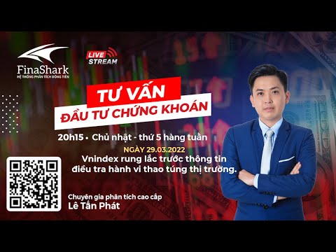 Vnindex rung lắc trước thông tin điều tra hành vi thao túng thị trường | Chiến lược phiên 30.03.2022