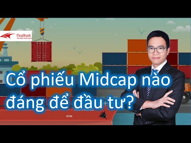 Cổ phiếu midcap nào xứng đáng để đầu tư - Chiến lược ngày 07.05.2021