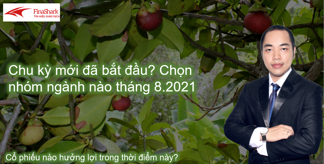 Ngân hàng, chứng khoán, Bất động sản | Chọn nhóm ngành nào cho tháng 8.2021?