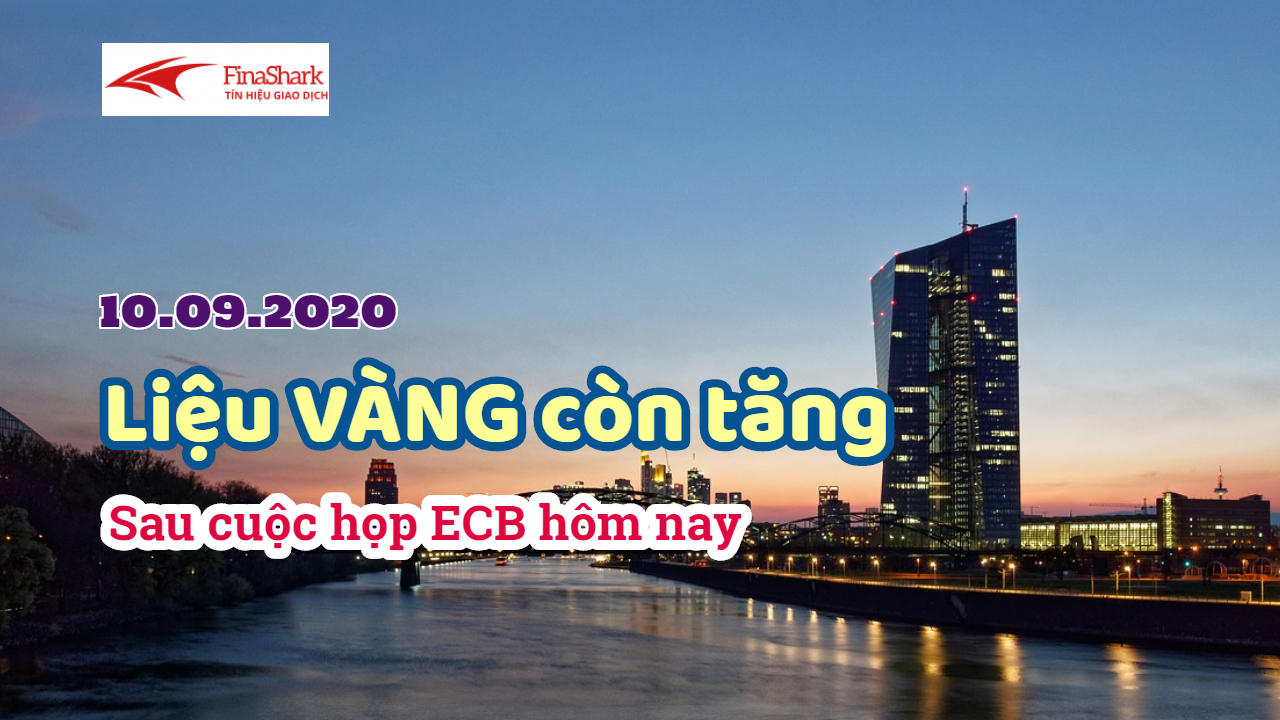 Thị trường Forex hôm nay 10/9: Cuộc họp ECB và diễn biến giá vàng