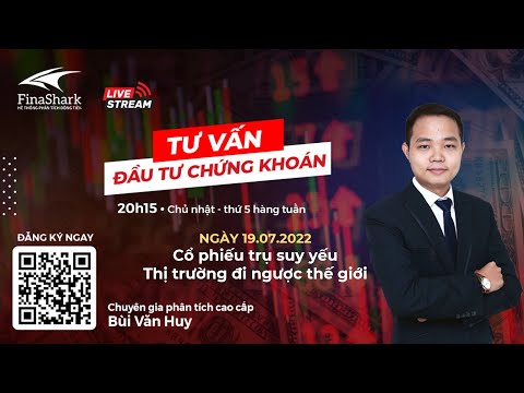 Cổ phiếu trụ suy yếu. Thị trường đi ngược thế giới | Market Review 19/07/2022