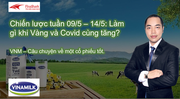 Chiến lược đầu tư nào khi Vàng tăng giá 10.05.2021? VNM - Câu chuyện về một cổ phiếu tốt.