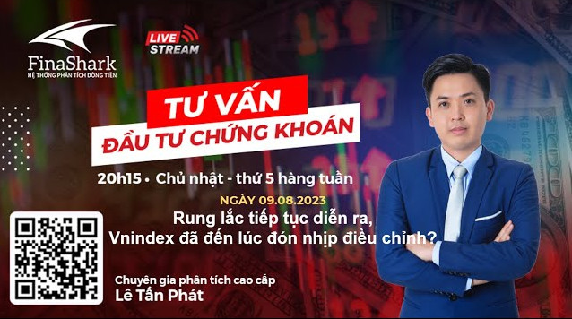 Rung lắc tiếp tục diễn ra, Vnindex đã đến lúc đón nhịp điều chỉnh? | Chiến lược cho phiên 10.08.2023