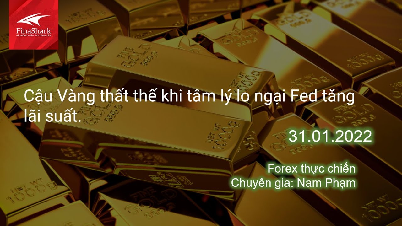 XAUUSD thất thế khi tâm lý lo ngại Fed tăng lãi suất | Giao dịch thực chiến 31.01.2023