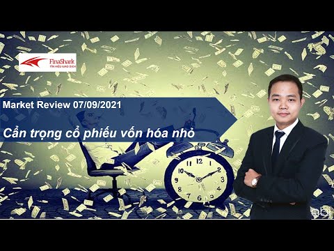 Cẩn trọng nhóm cổ phiếu vốn hóa nhỏ. Market Review 07.09.2021