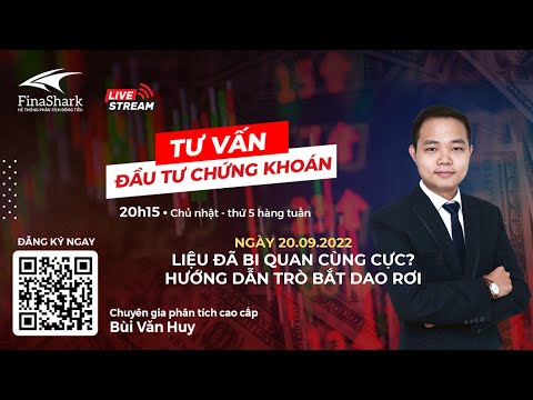 Liệu đã bi quan cùng cực? Kỹ thuật bắt dao rơi | Market Review 20/09/2022