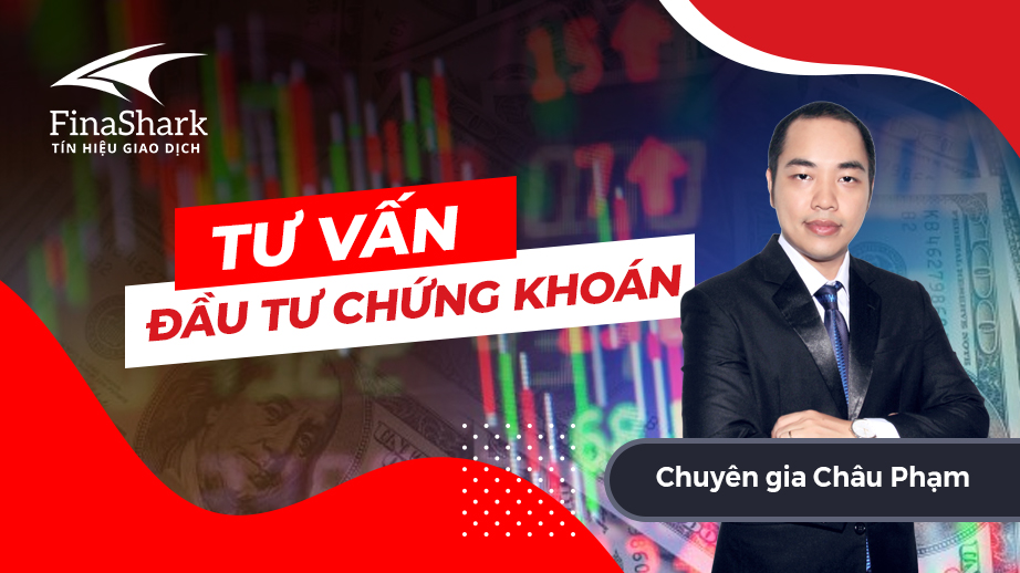 [Video] Tư vấn đầu tư chứng khoán 12.01.2021 - Châu Phạm