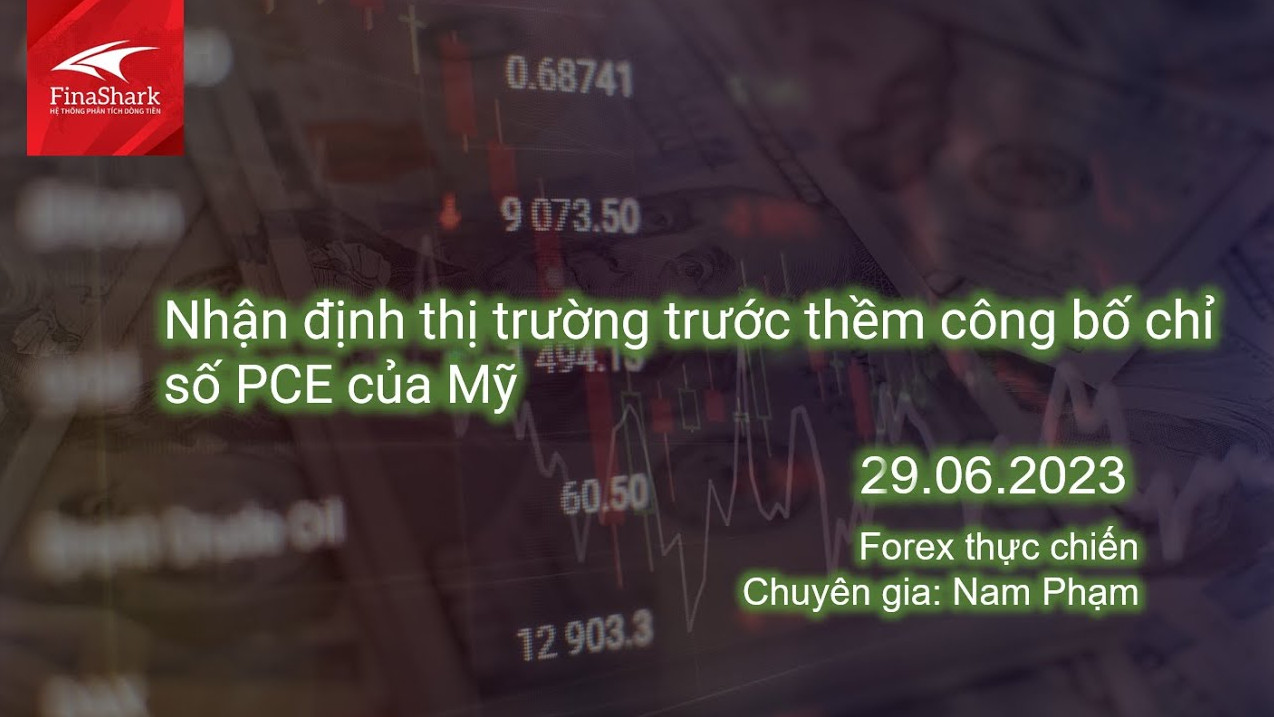 Nhận định thị trường trước thềm công bố chỉ số PCE của Mỹ | Giao dịch thực chiến 29.06.2023