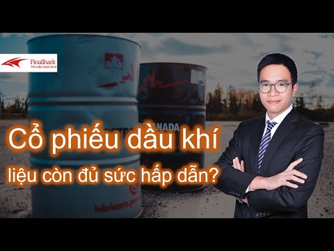 Xem xét cơ hội đầu tư nhóm dầu k |Chiến lược giao dịch ngày 11.08.2021