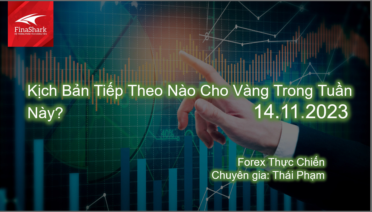 Kịch Bản Tiếp Theo Nào Cho Vàng Trong Tuần Này? | 14.11.2023