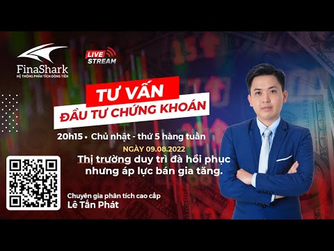 Thị trường duy trì đà hồi phục nhưng áp lực bán gia tăng | Chiến lược cho phiên 10.8.2022