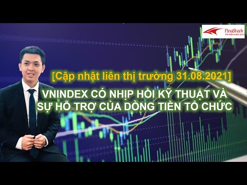 Vnindex có nhịp hồi kỹ thuật và sự hỗ trợ của dòng tiền tổ chức