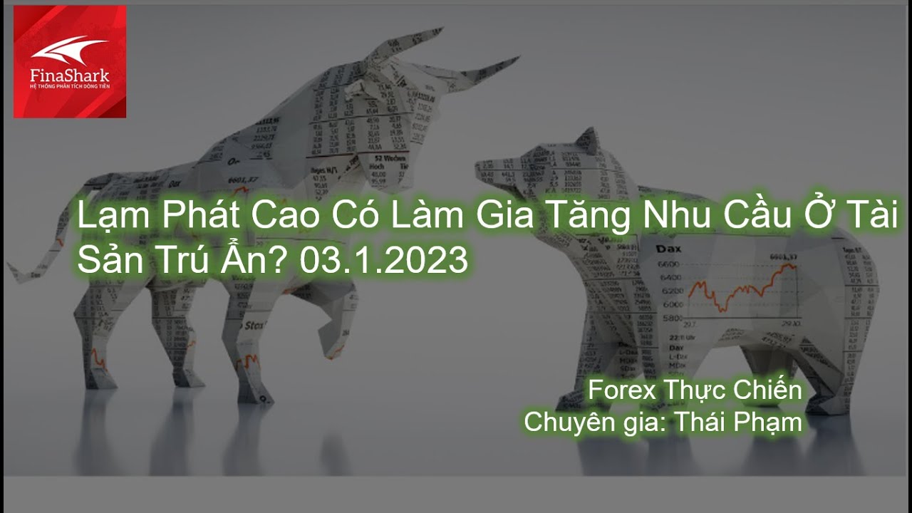 Lạm phát cao có làm gia tăng nhu cầu ở các tài sản trú ẩn? | Giao dịch thực chiến 03.01.2023