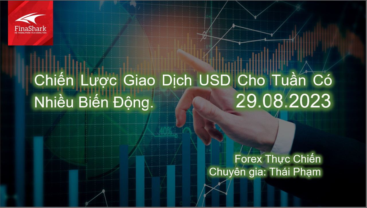 Chiến Lược Giao Dịch USD Cho Tuần Có Nhiều Biến Động | Giao dịch thực chiến 29.08.2023