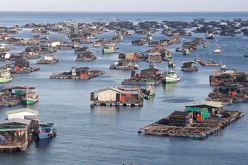 Hàng tiêu dùng thiết yếu - TP&amp;ĐU, Thuốc lá: Báo cáo chiến lược ngành thủy sản - Triển vọng năm 2023 khó khăn hơn