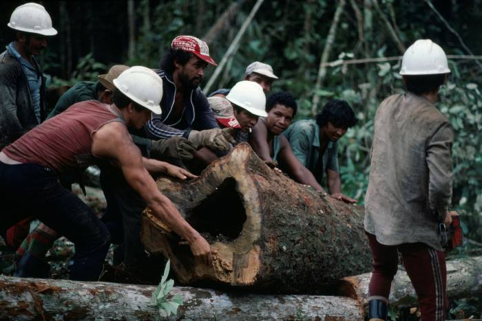 Thị trường mới nổi: Rủi ro, lợi nhuận và Covid