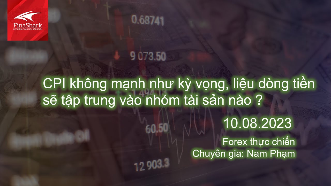 CPI không mạnh như kỳ vọng, liệu dòng tiền sẽ tập trung vào nhóm tài sản nào? | Nhận định ngày 10.08.2023