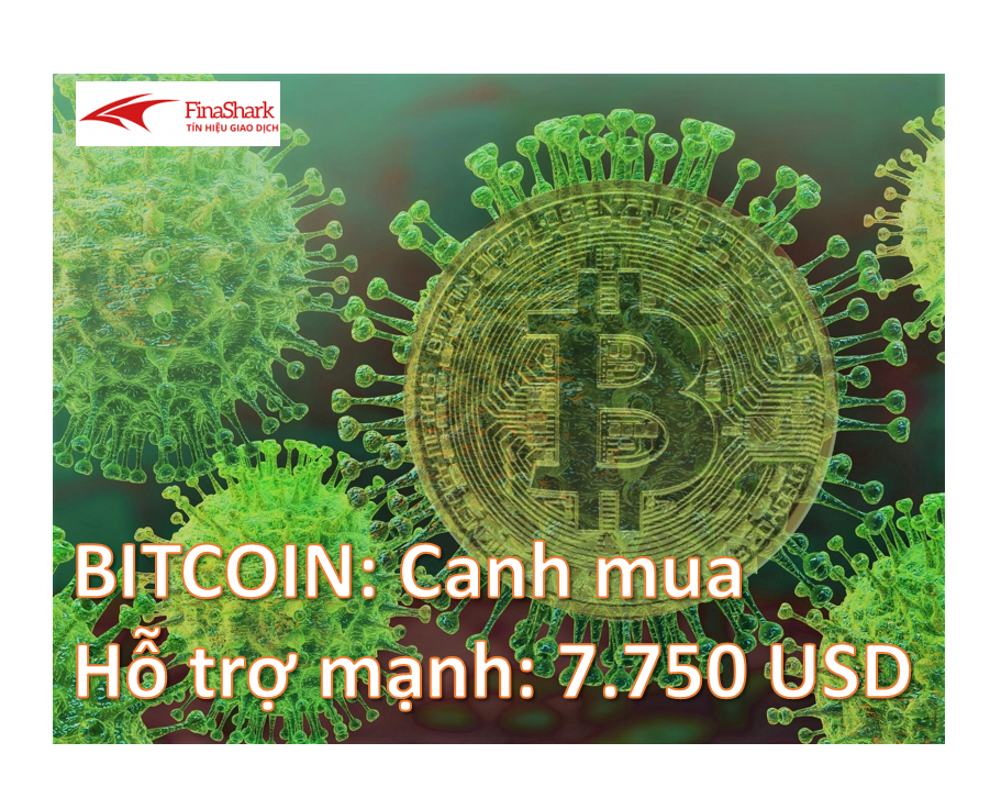 Bitcoin: Canh mua tại hỗ trợ mạnh 7750 USD