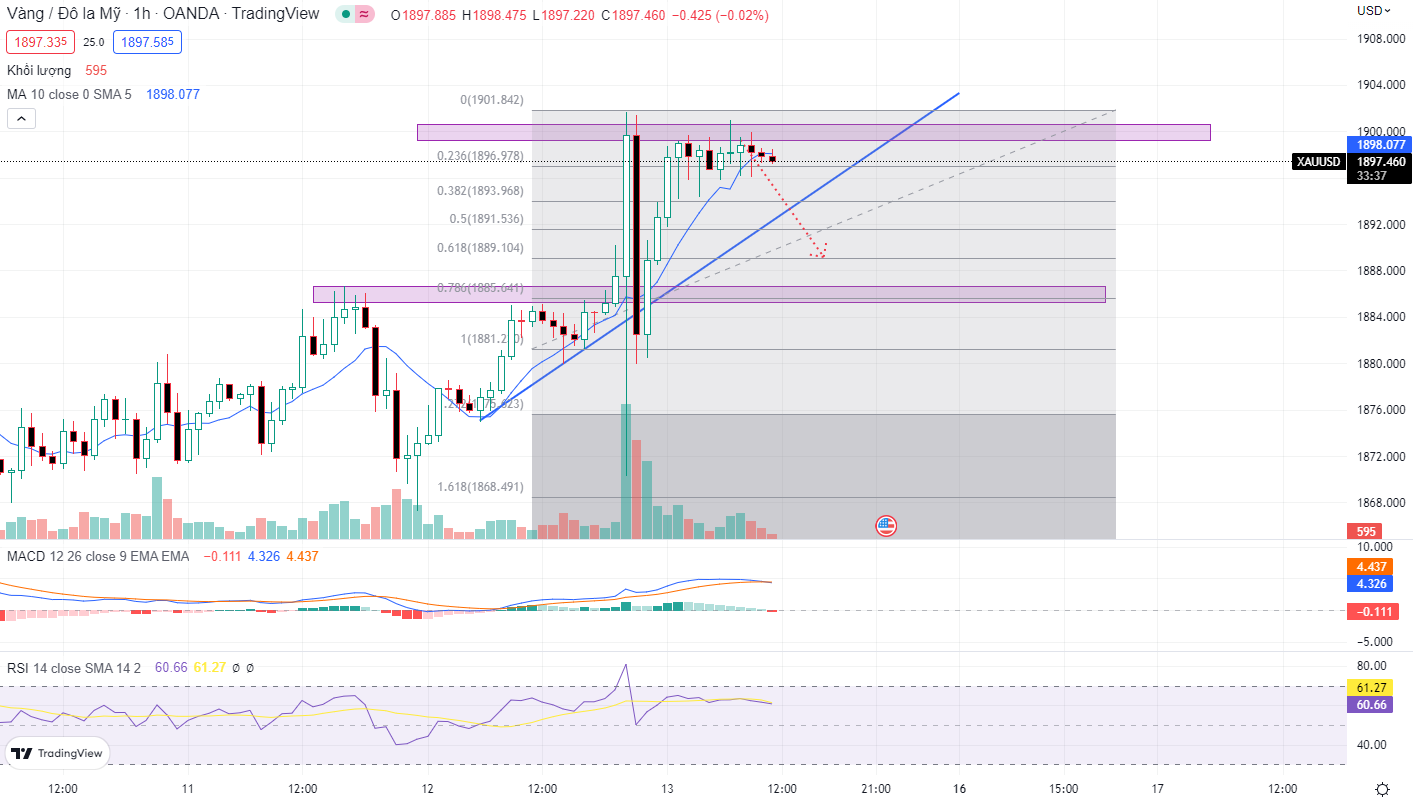 XAUUSD PTKT 13-1-2023