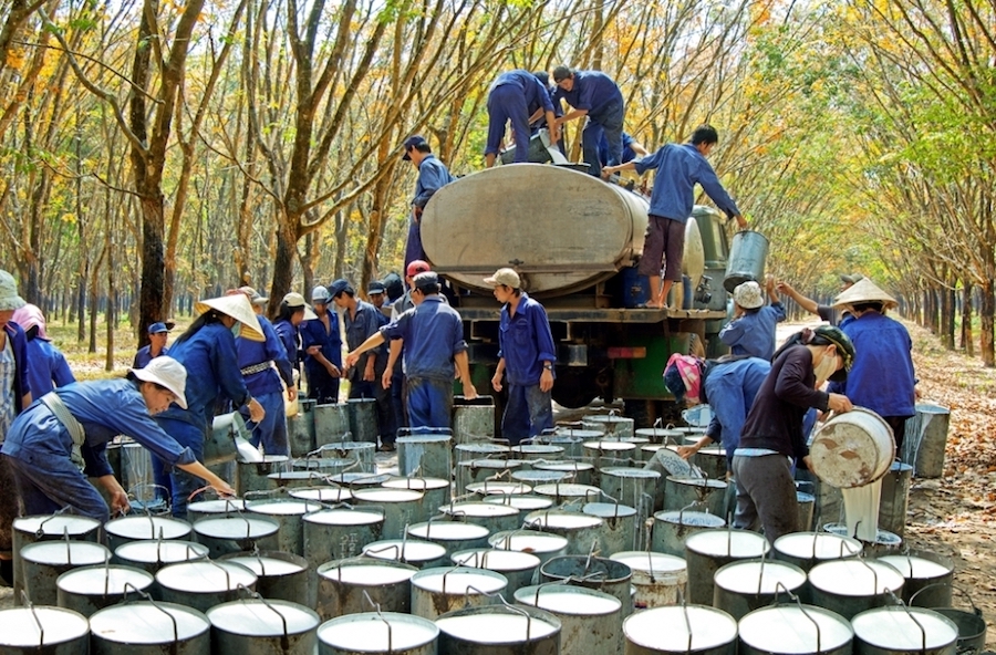 CTCP Cao su Phước Hòa (PHR): Giảm dự báo lợi nhuận do lùi thời gian bàn giao đất, duy trì khuyến nghị Tăng tỷ trọng