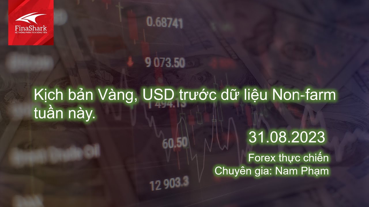 Kịch bản Vàng, USD trước dữ liệu Non-farm tuần này | Nhận định ngày 31.08.2023