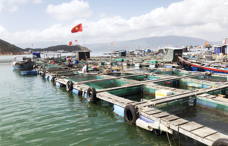 Hàng tiêu dùng thiết yếu - TP&ĐU, Thuốc lá: Dự báo KQKD ngành thủy sản Q2/2024 cải thiện đáng kể so với Q1/2024