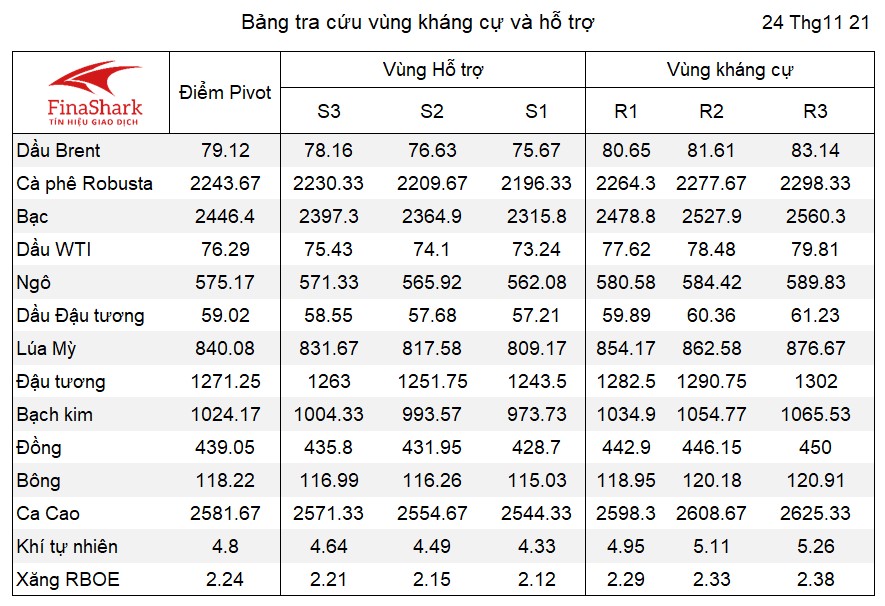 Pivot hàng hóa 24.11.2021